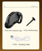 Load image into Gallery viewer, Lockink App Chastity Cage Remotely - product list