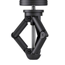 Load image into Gallery viewer, Pear Flower 2 Remote Anal Plug - 24