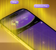 Lade das Bild in den Galerie-Viewer, Lockink Electric Eel Estim Play Chastity Cage -15
